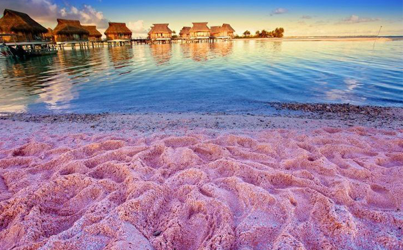 World’s Influential Pink Sand Beaches